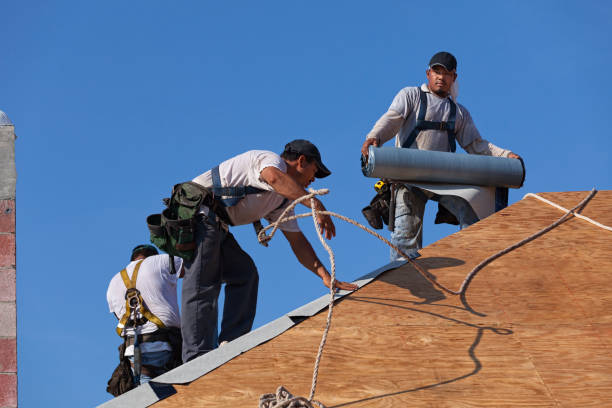 Best Gutter Installation and Roofing  in Grant Valkaria, FL