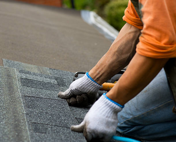 Best Local Roofing Companies  in Grant Valkaria, FL